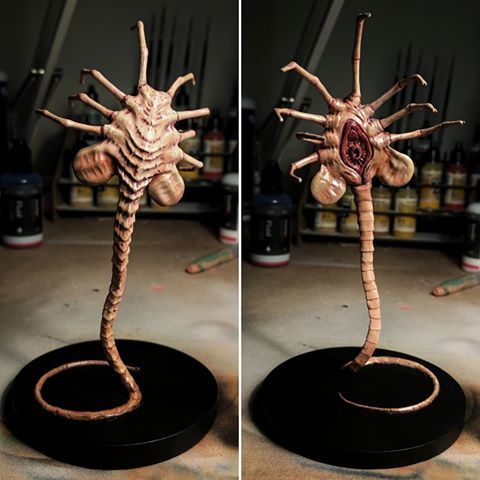 Alien Facehugger 3D model thumbnail