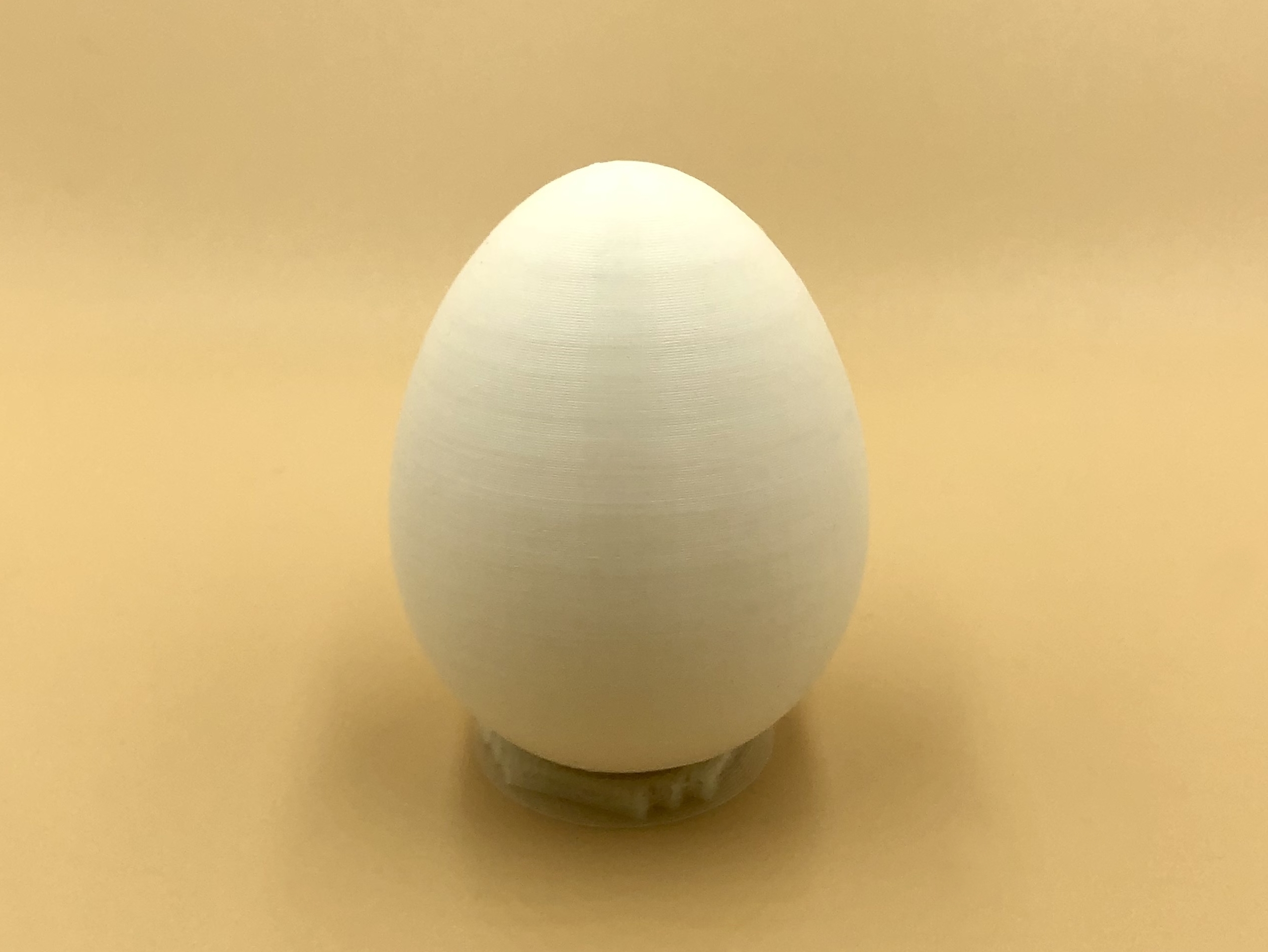 Egg