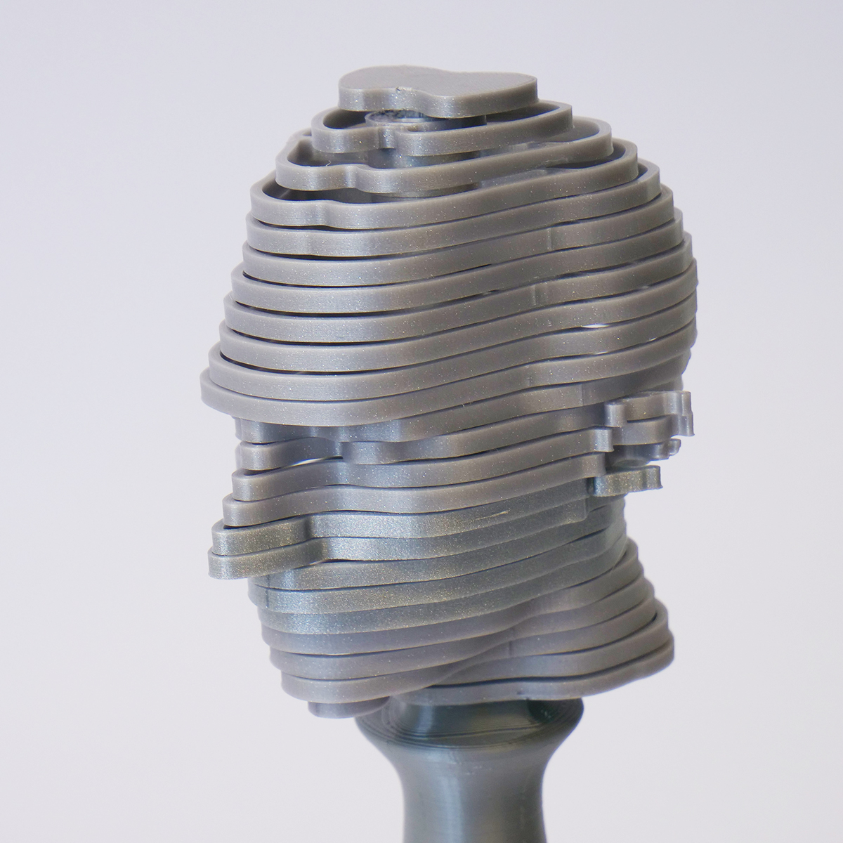 HELICONE HEAD - TOY - TURNING BUST