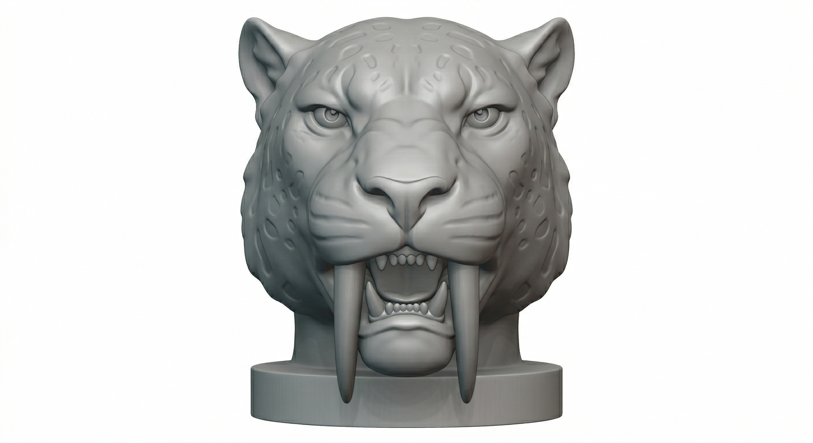 Smilodont/Tiger head, Bust 3D model