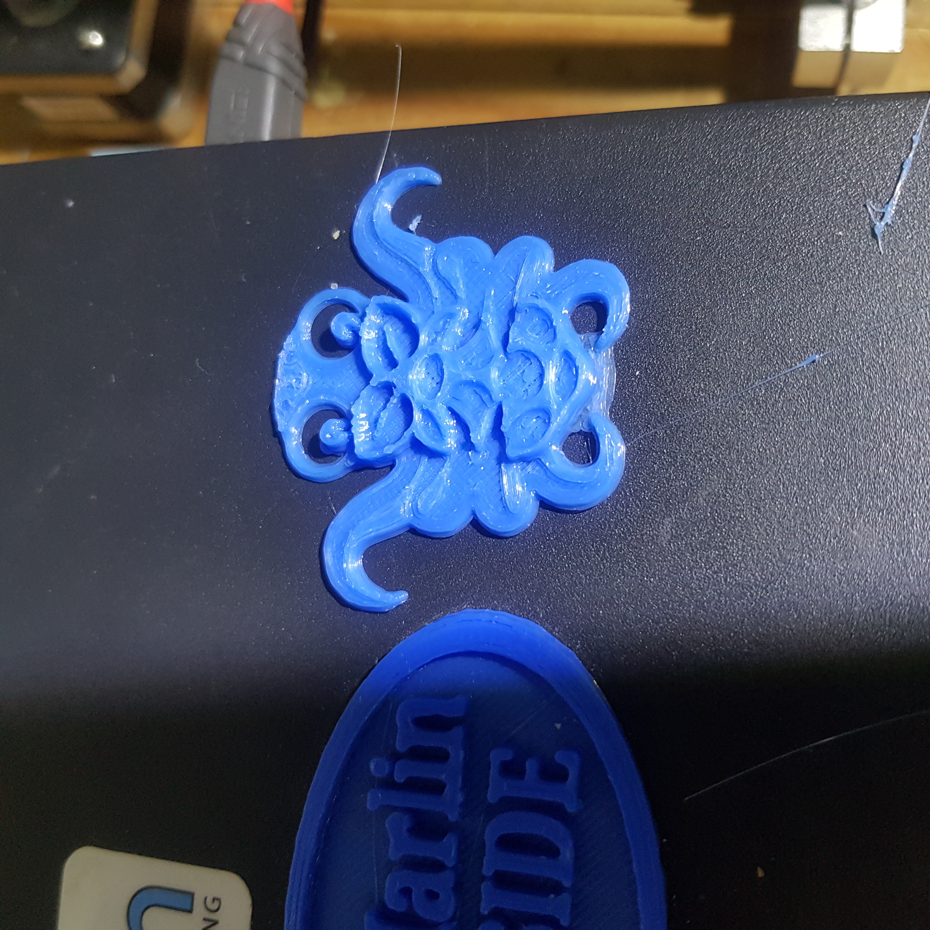 Miniatura 7 do modelo 3D Octoprint Raspberry Pi Logo