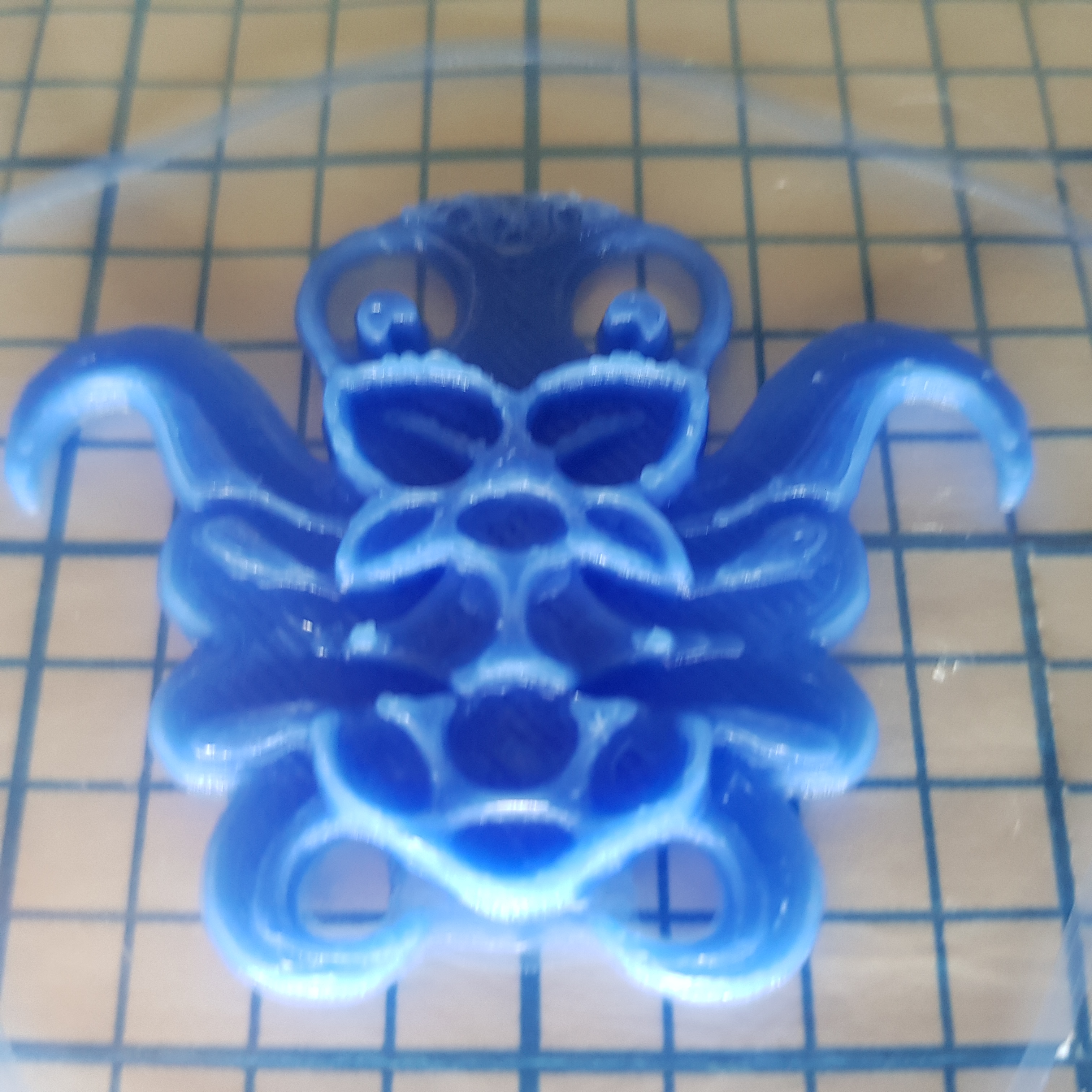 Miniatura 2 do modelo 3D Octoprint Raspberry Pi Logo