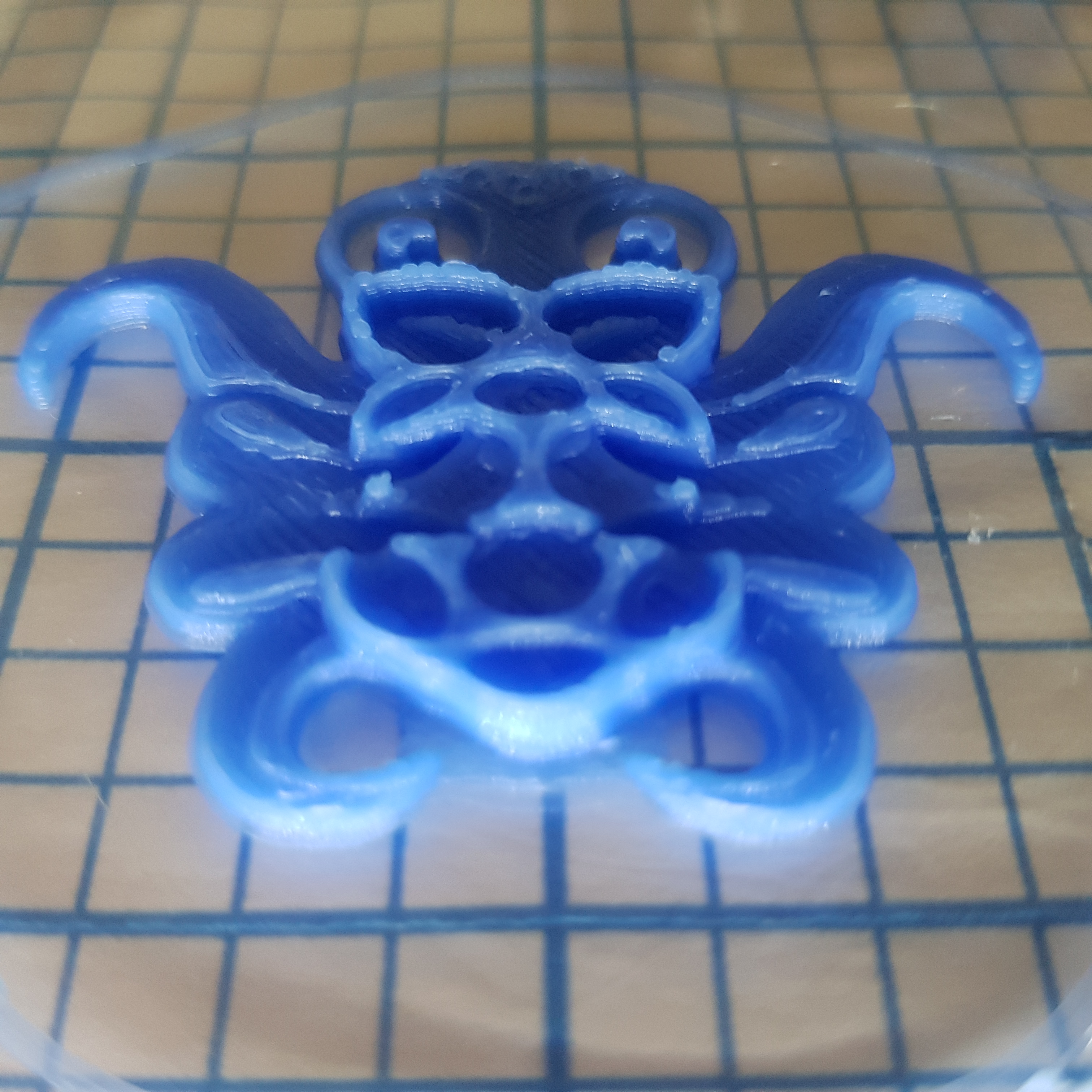 Miniatura 6 do modelo 3D Octoprint Raspberry Pi Logo