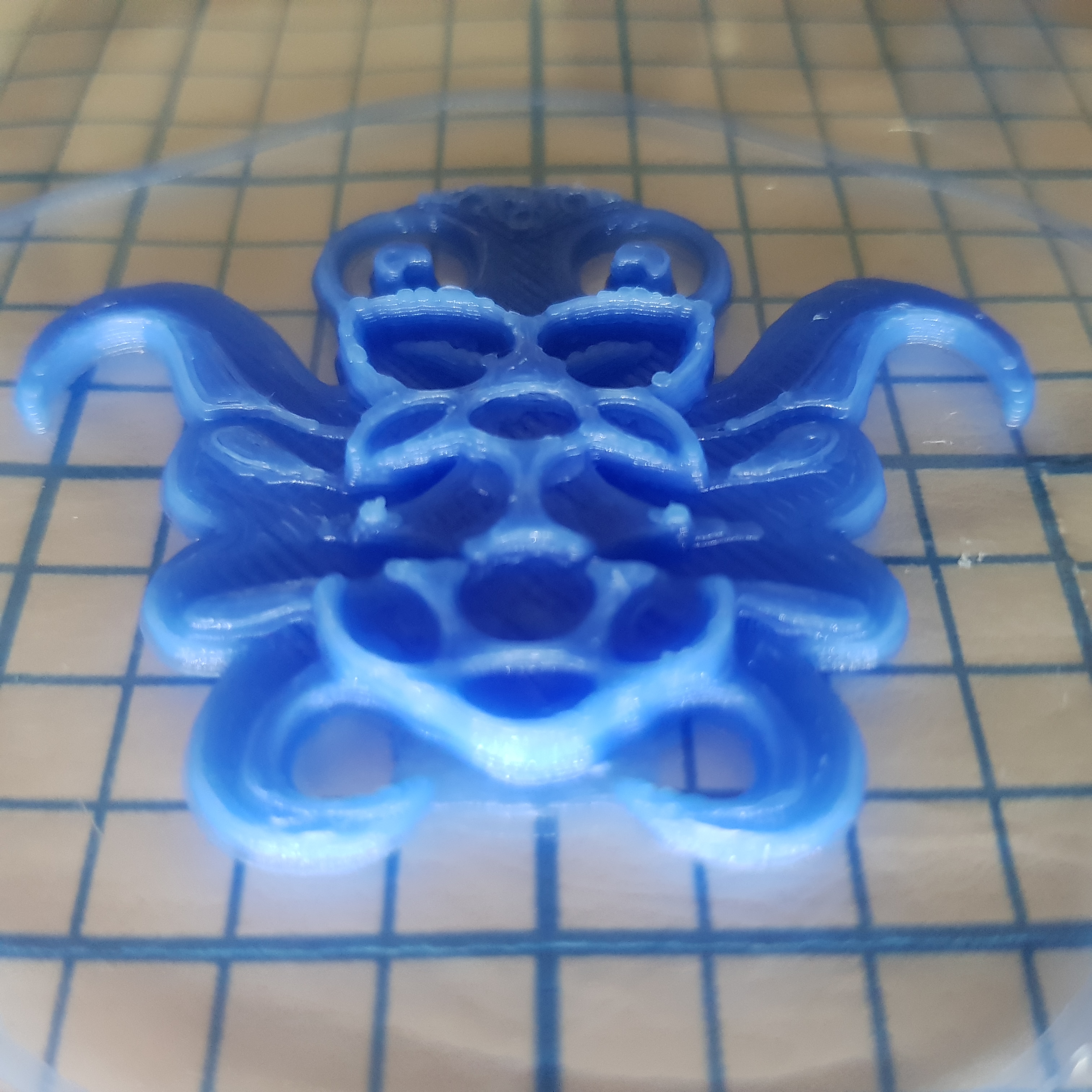 Miniatura 5 do modelo 3D Octoprint Raspberry Pi Logo