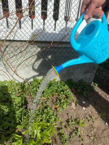 Watering Spout "Flower"