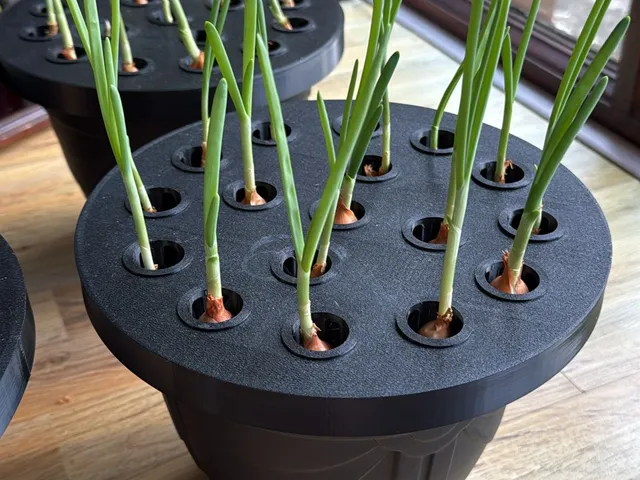 Regrow Green Onions at Home | Easy 3D Printed Holder