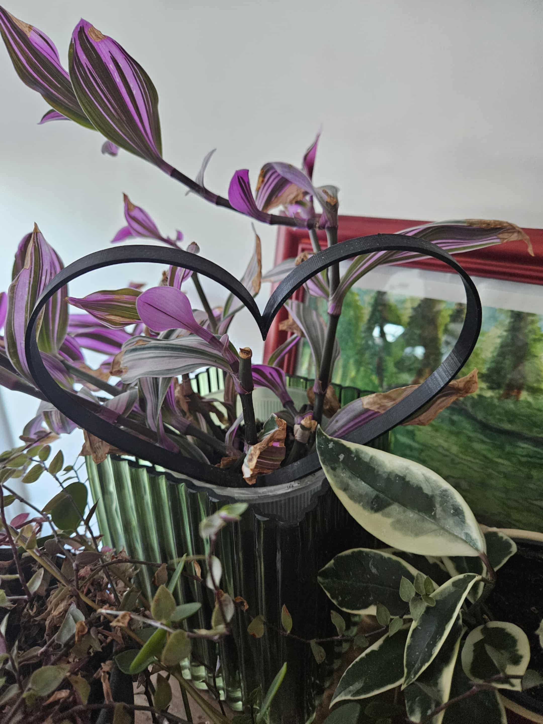 Heart shaped plant trellis with brim ears