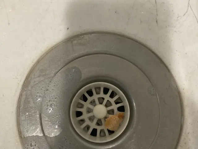 Removable 40mm sink drain screen.