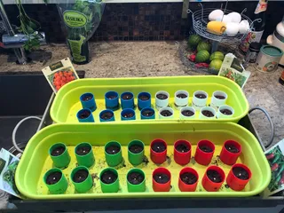 Mini planting/seeding pot for peat briquettes