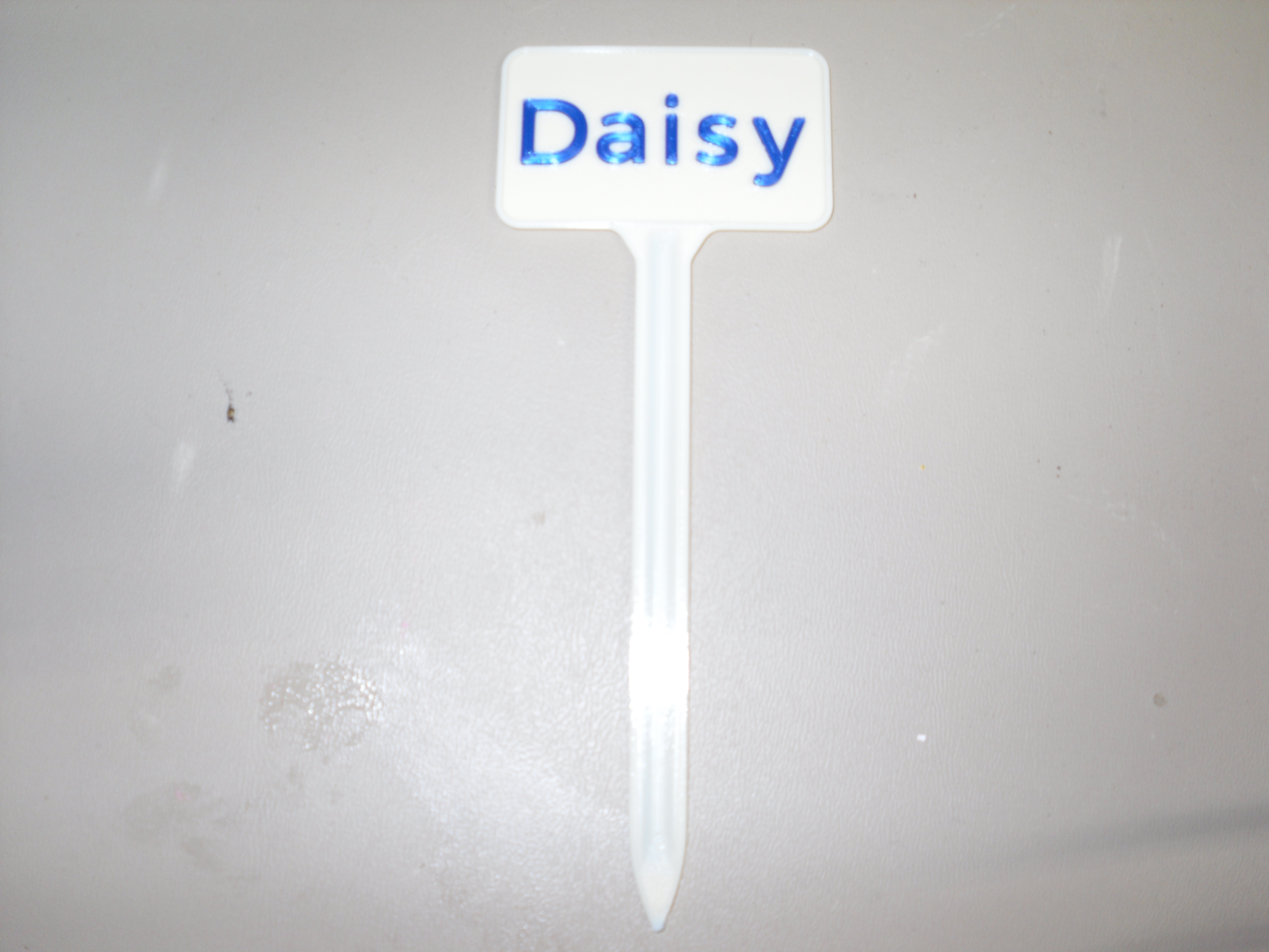 Plant Label Daisy