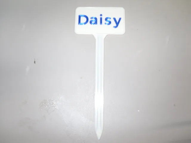 Plant Label Daisy