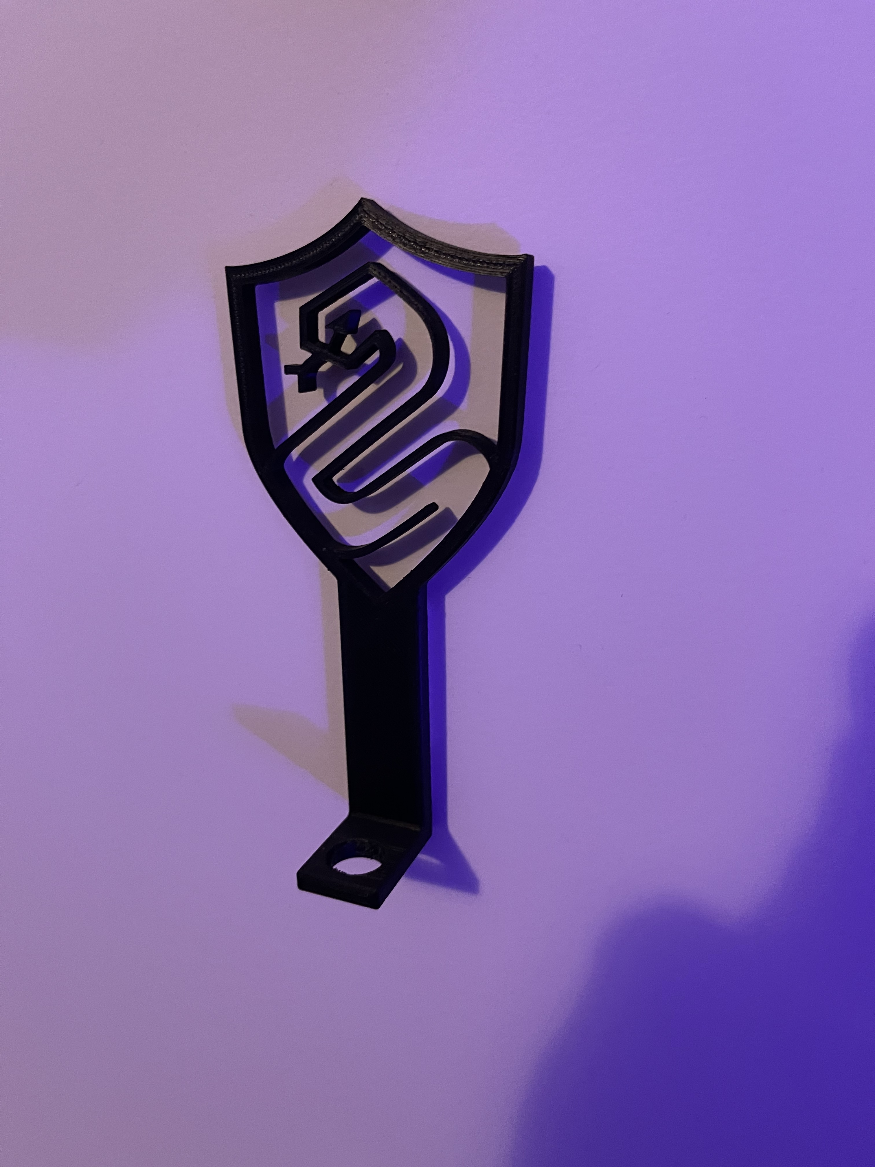 Slytherin Wall Mount Wand Stand