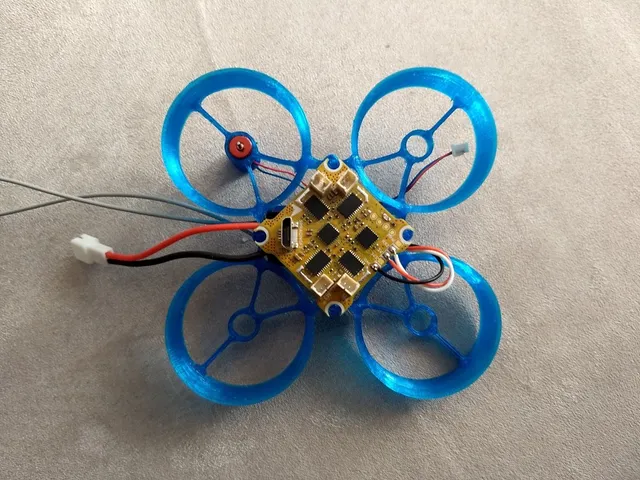 Tiny whoop frame 65mm & FM800 mini Futaba Fasst RX