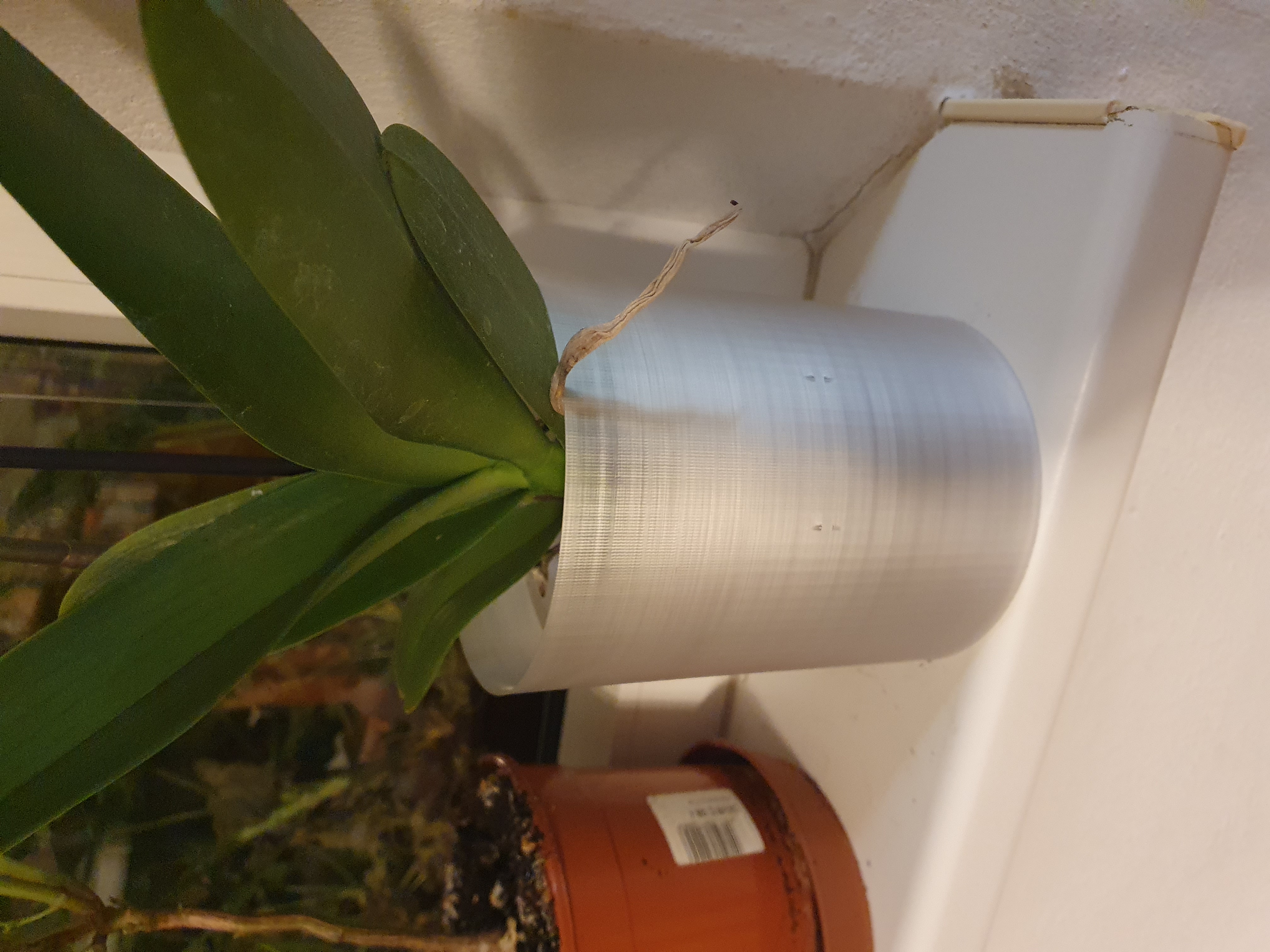Orchid pot