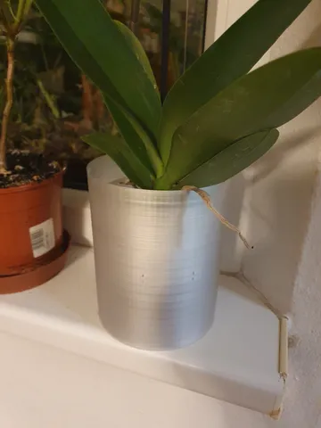 Orchid pot