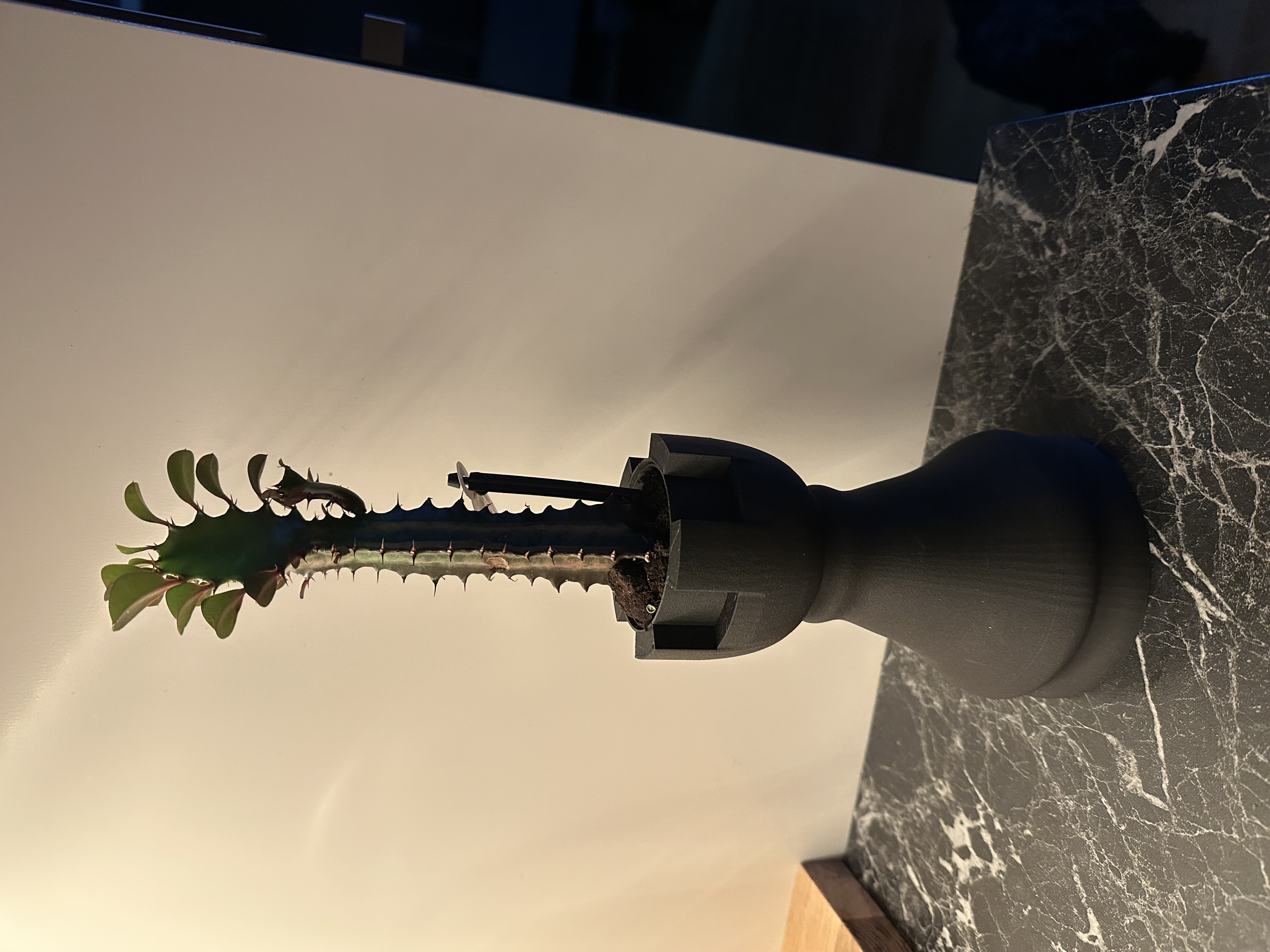 Chess Rook Planter
