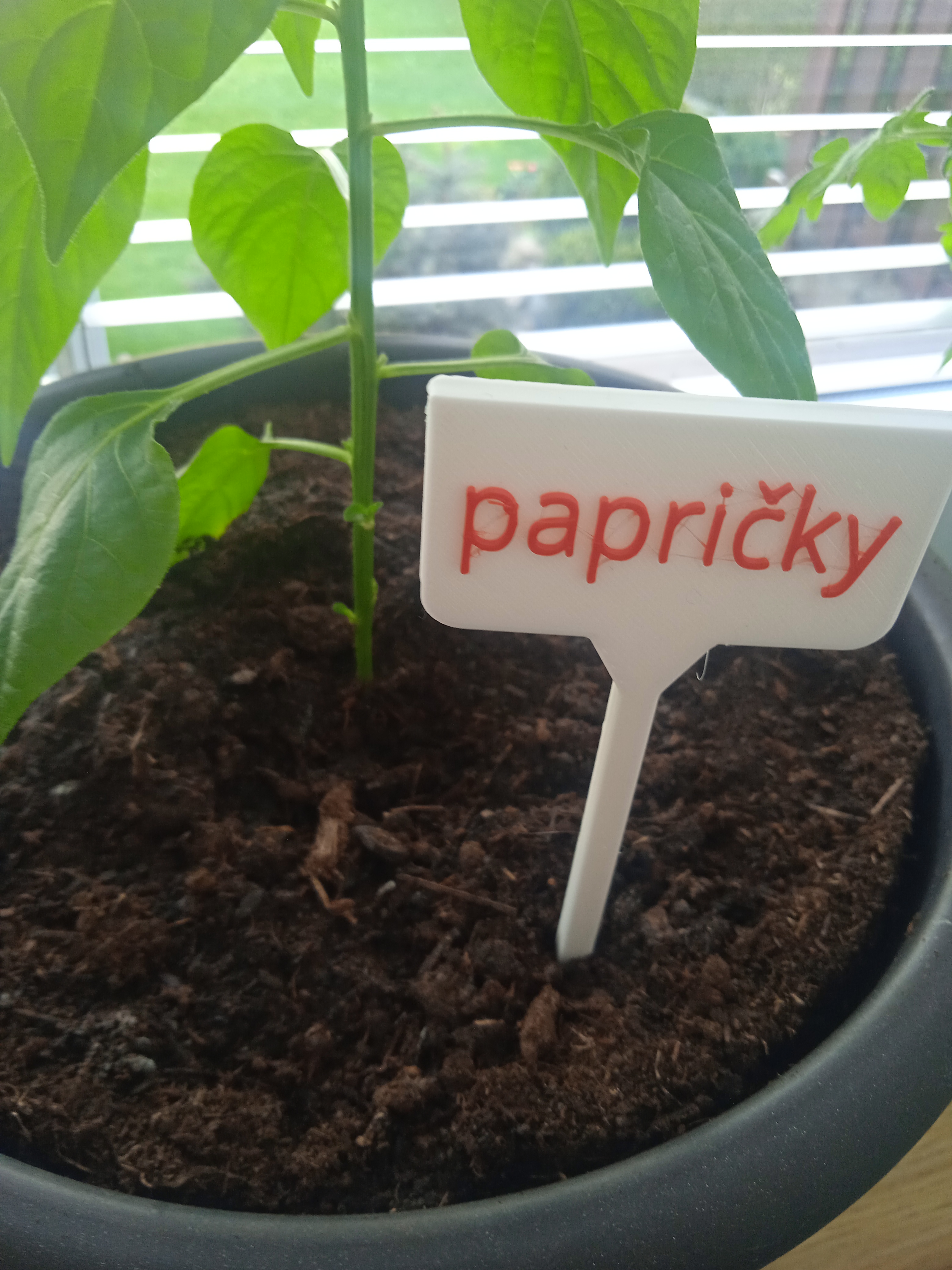 zapichovatko paprika
