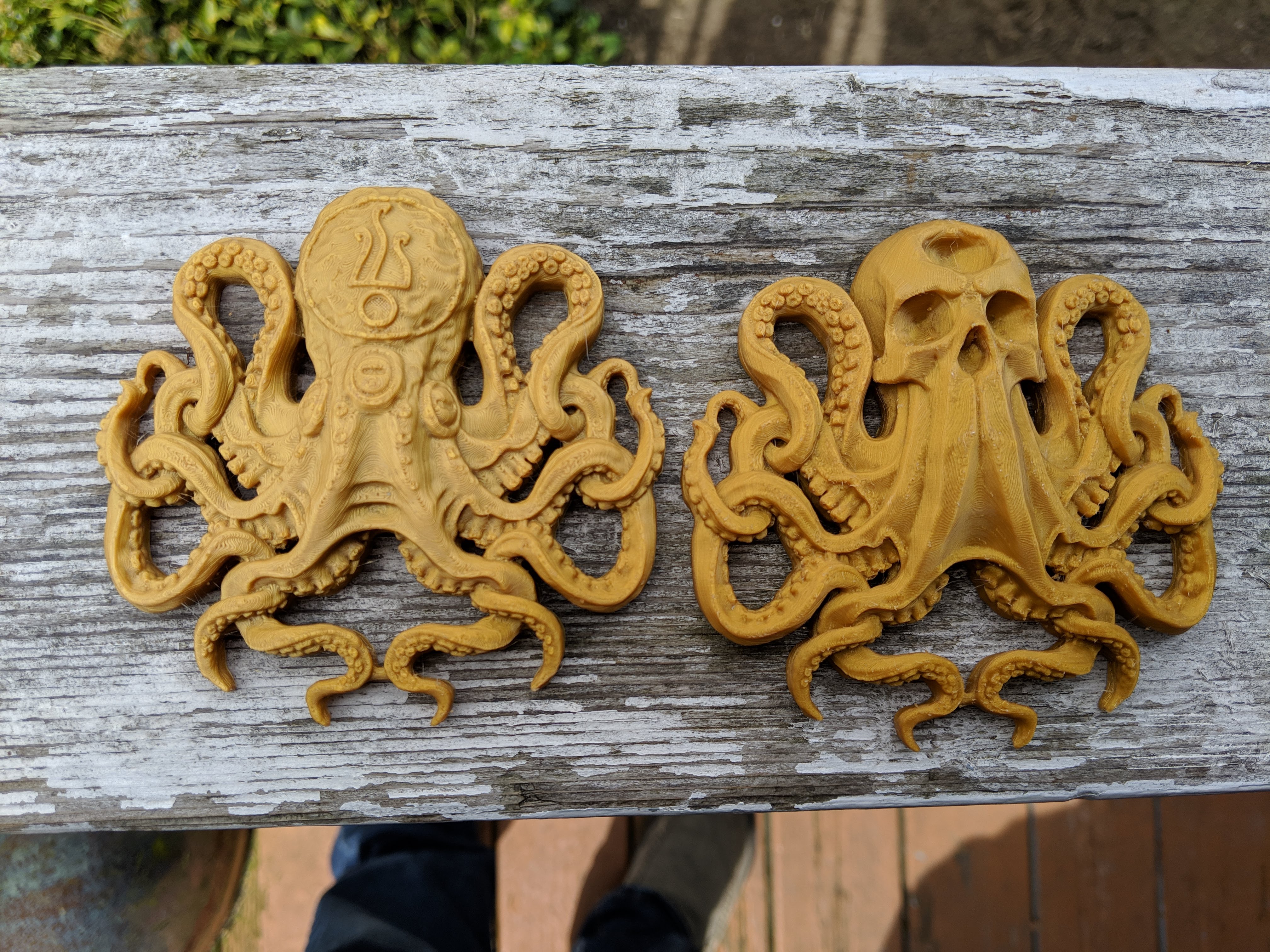 Miniatura 2 do modelo 3D Skull Octopus