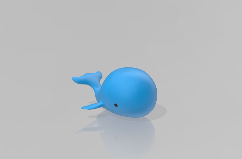 Little Whale