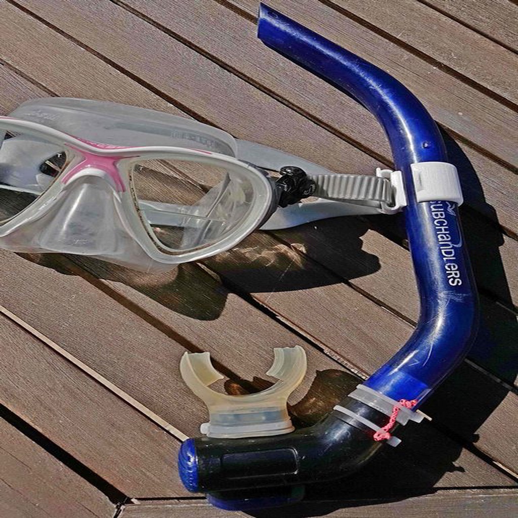 Clip Masque Tuba / Snorkel keeper
