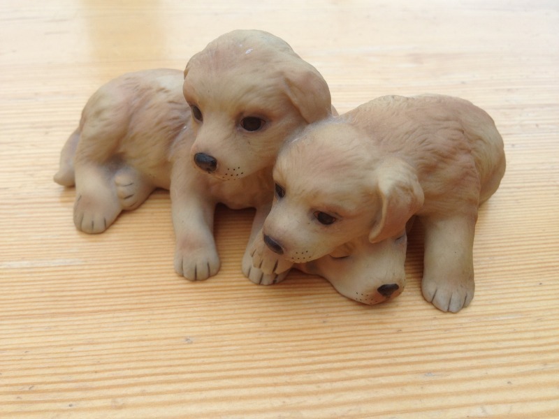 Puppies
