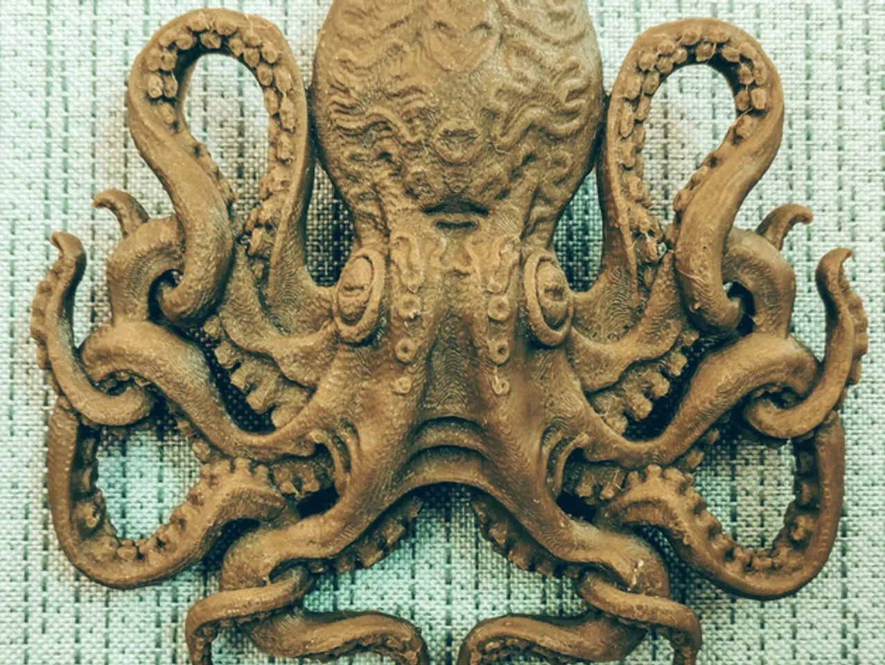 Octopus by Greg | Download free STL model | Printables.com