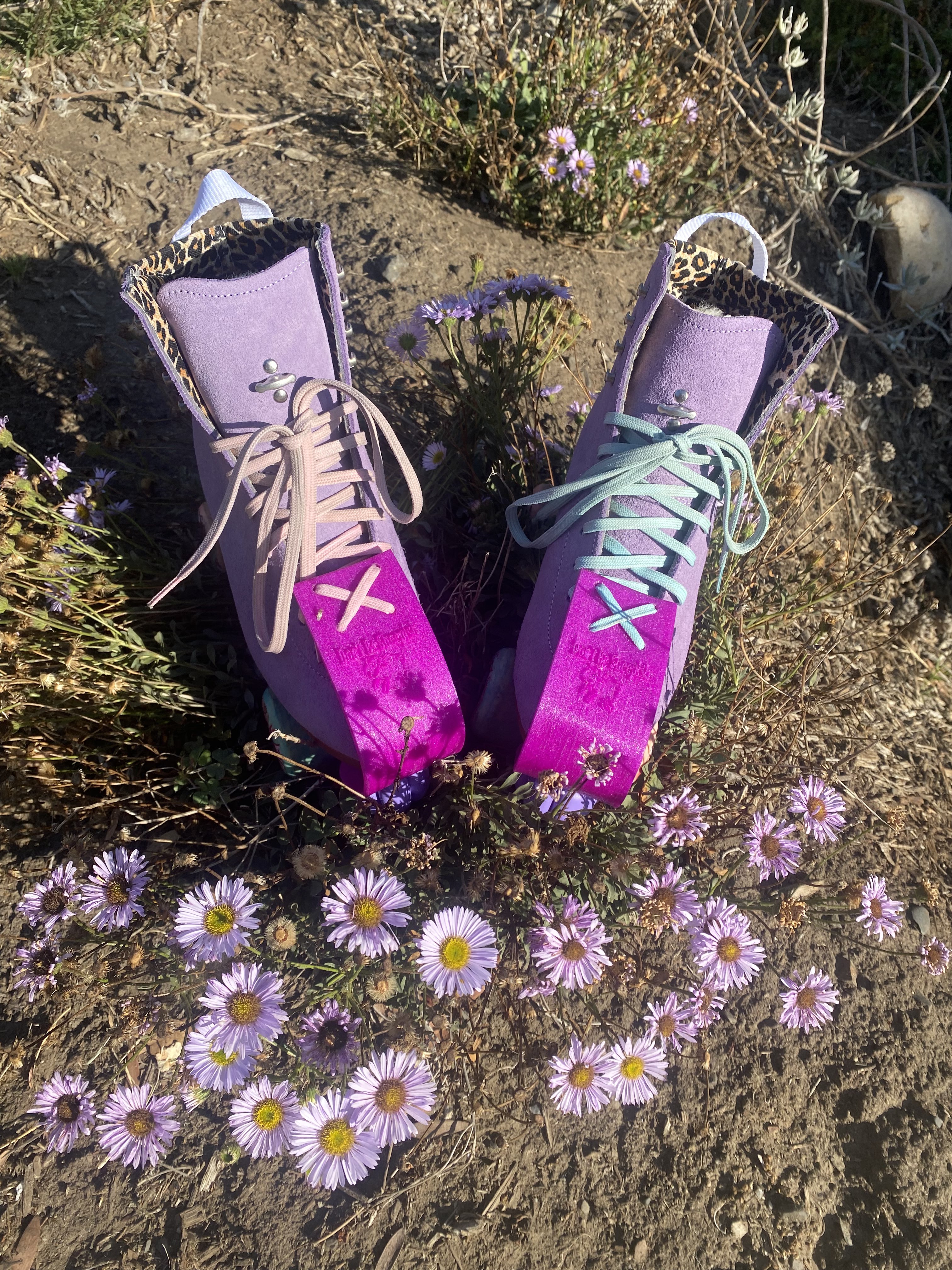 Toe Guards for Roller Skates