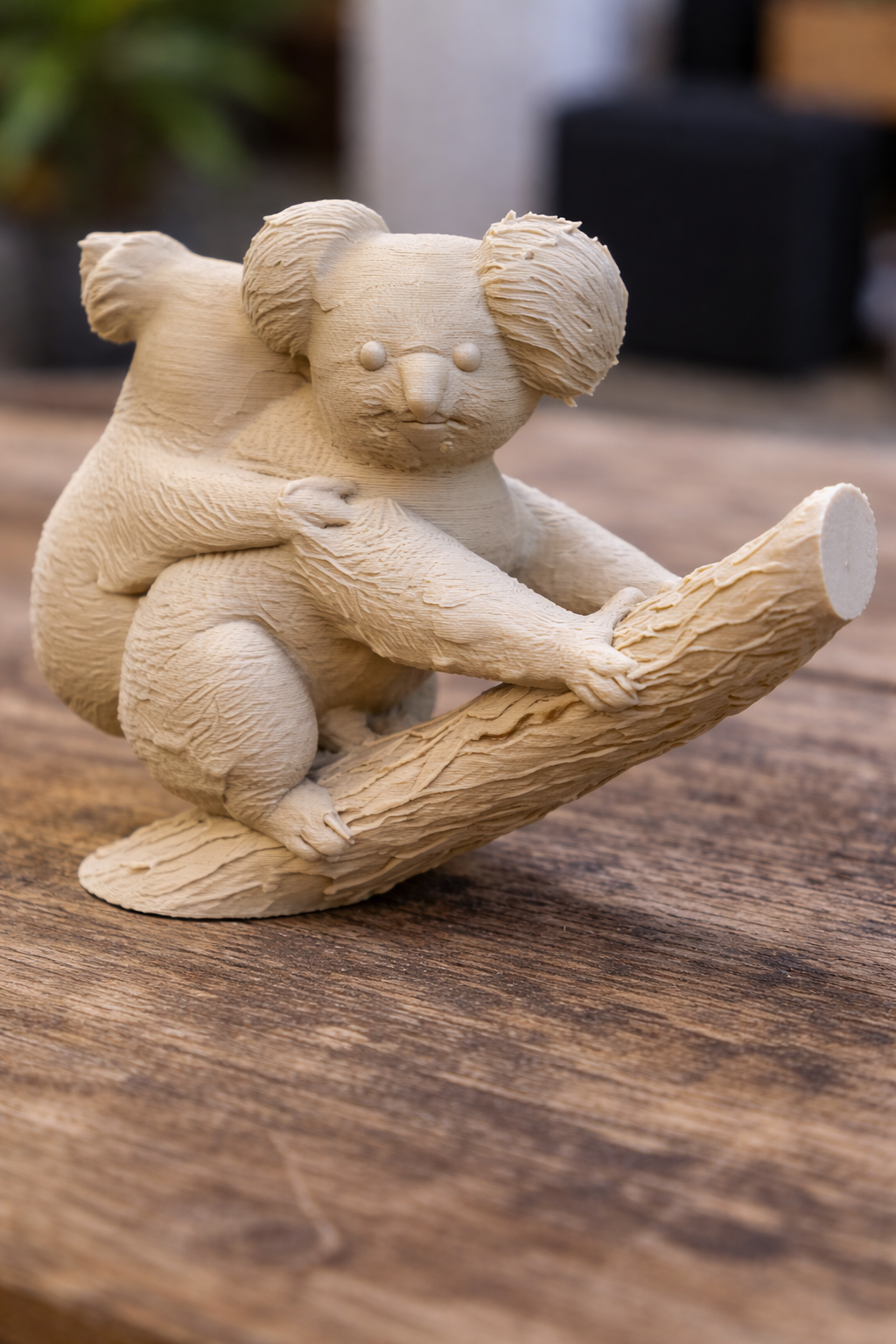 balancing koala-physics