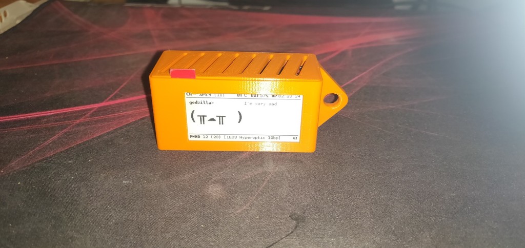 Pwnagotchi Case