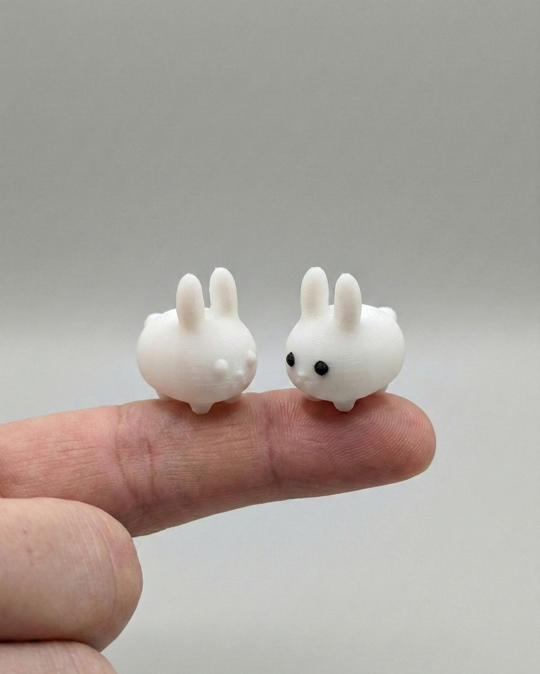 Mini Bunny Buddy