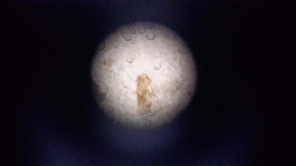 Miniatura 15 do modelo 3D Micro- Microscope