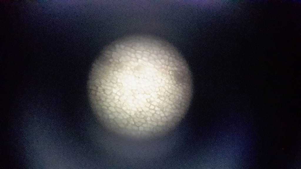 Miniatura 17 do modelo 3D Micro- Microscope
