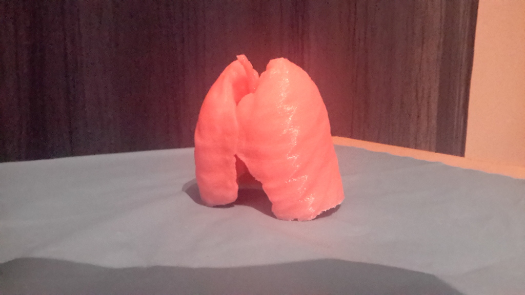 Miniatura 2 do modelo 3D Lungs 3D Model