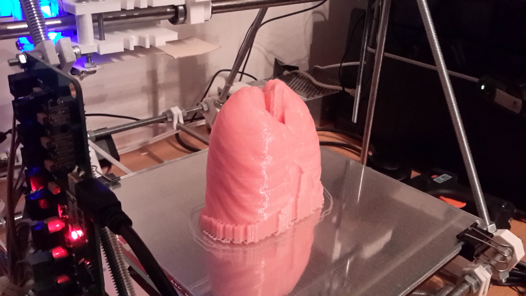 Miniatura 5 do modelo 3D Lungs 3D Model