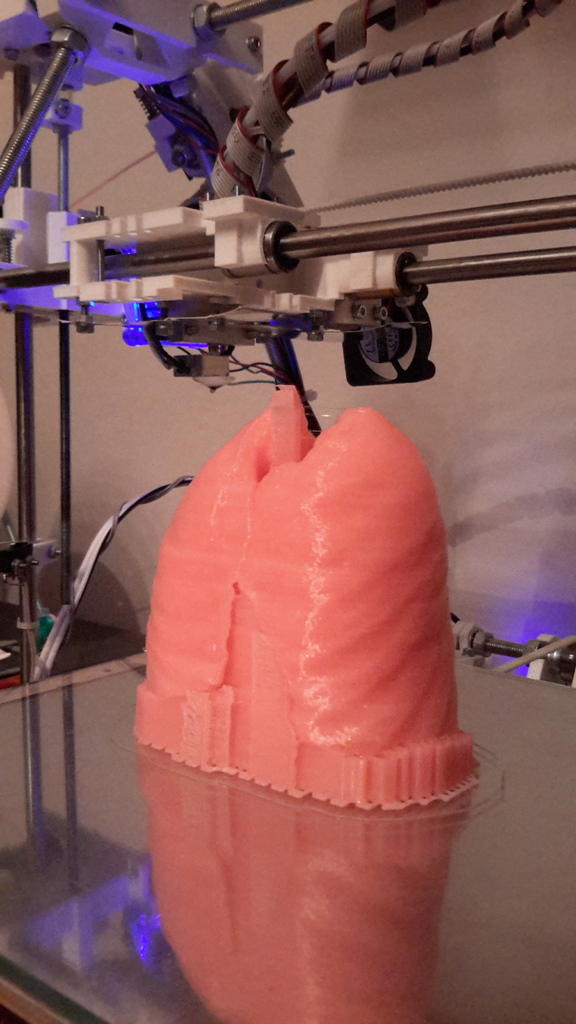 Miniatura 8 do modelo 3D Lungs 3D Model