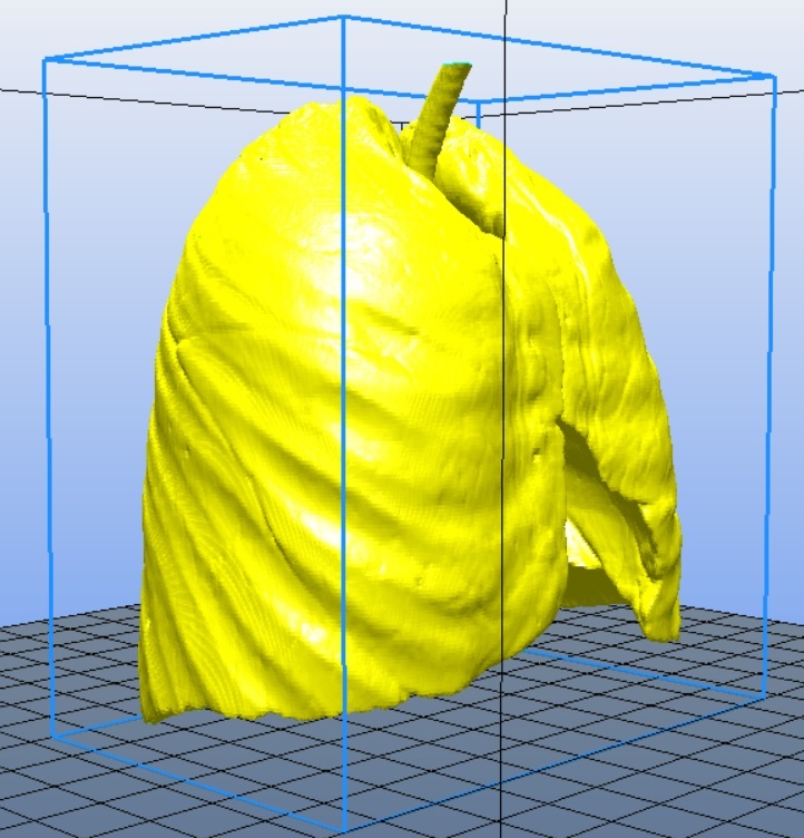 Miniatura 11 do modelo 3D Lungs 3D Model