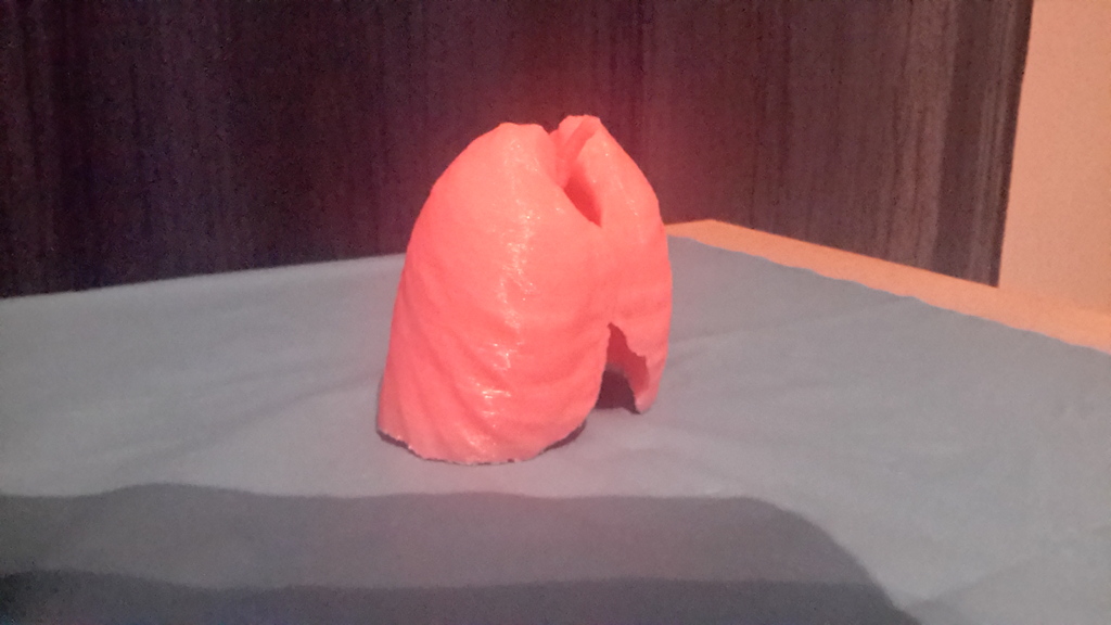 Miniatura 21 do modelo 3D Lungs 3D Model