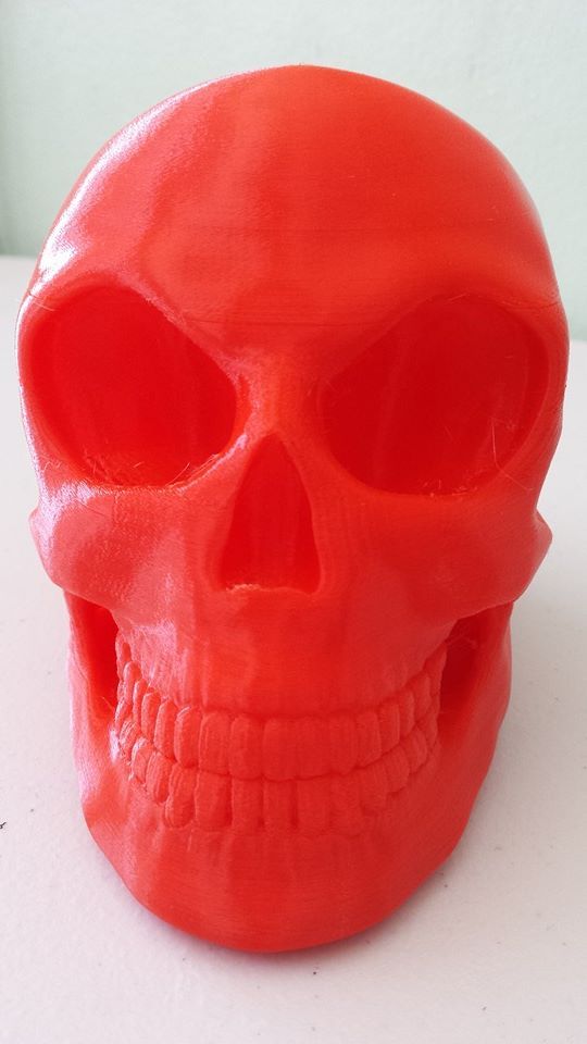 Skull