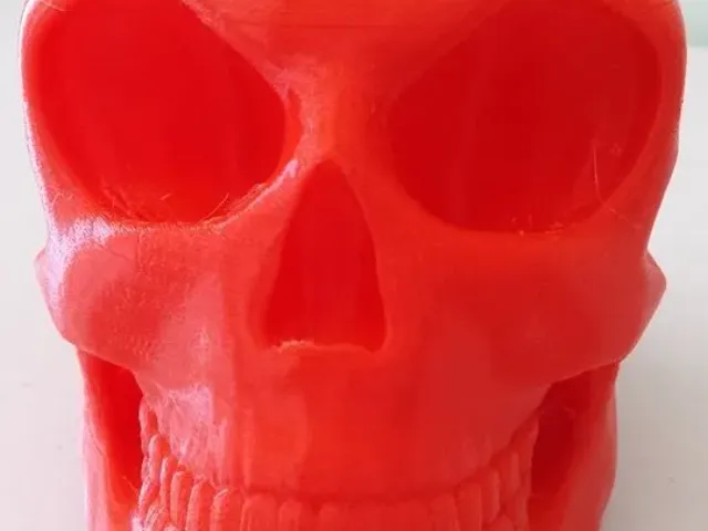 Skull