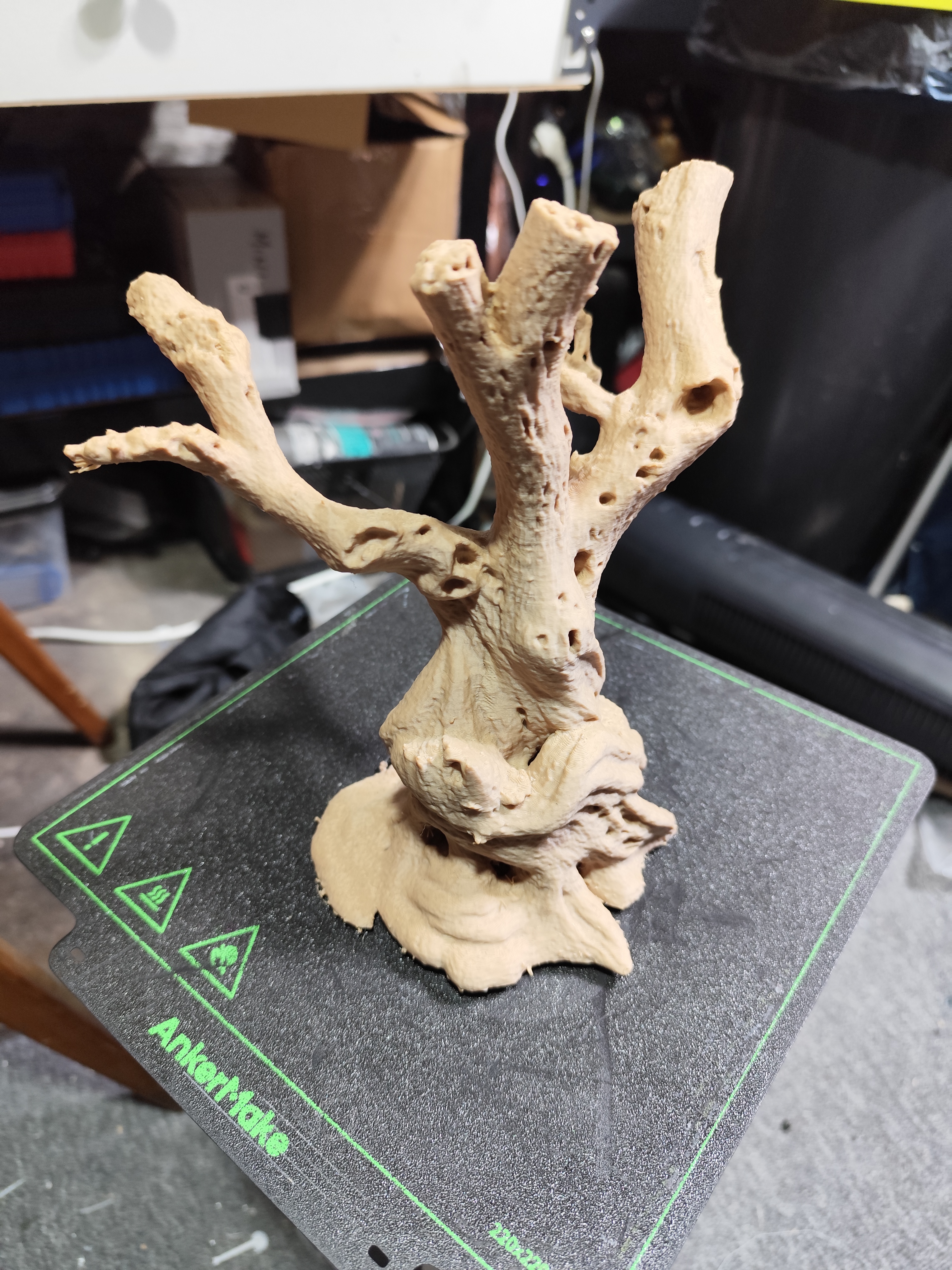 olive tree — thumbnail 3