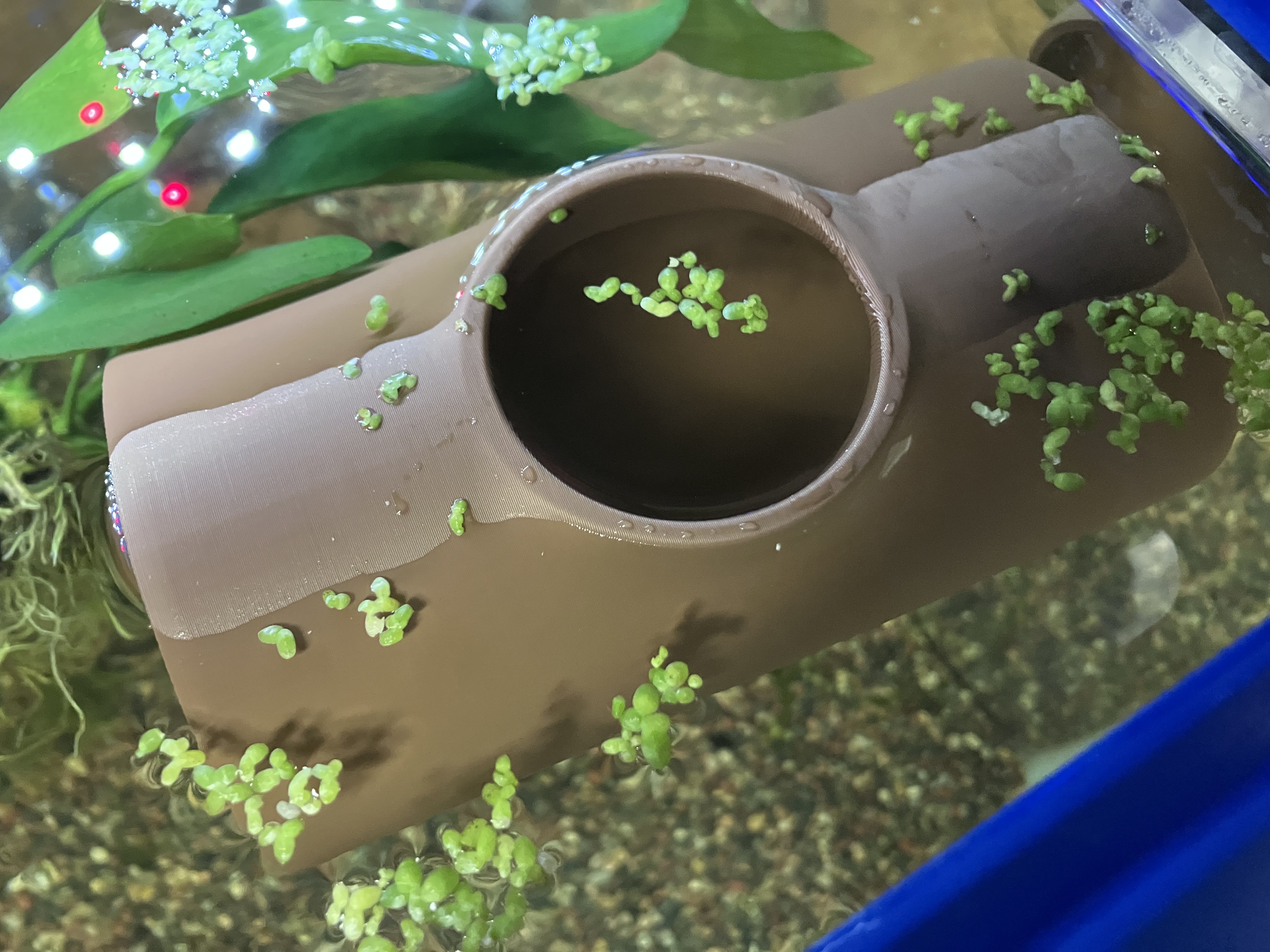 Floating Betta Log - Slim