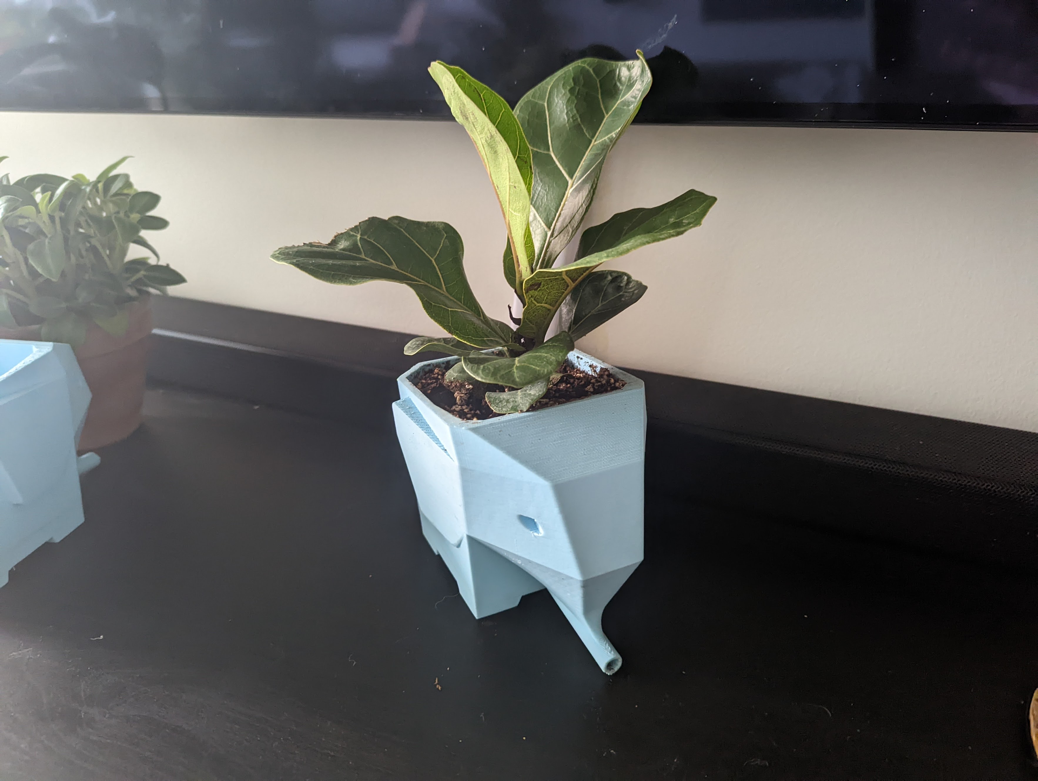 Elephant Plant Pot with Drainage Snout