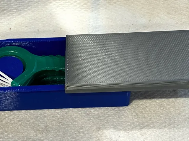 Dental Floss Pick holding case