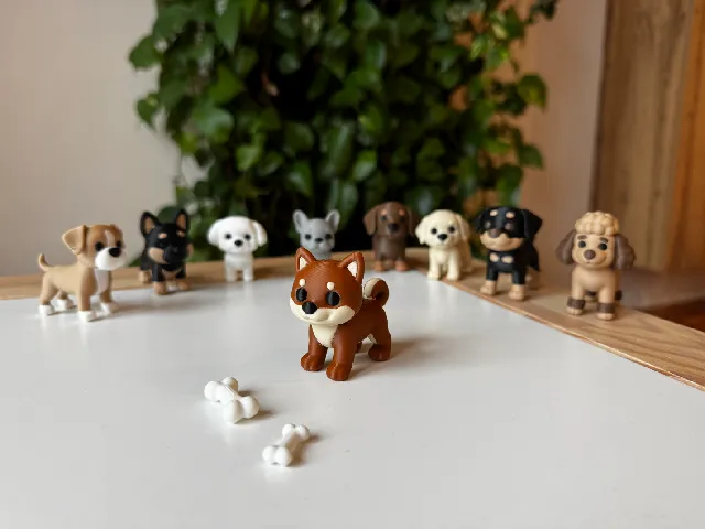 Shiba Inu