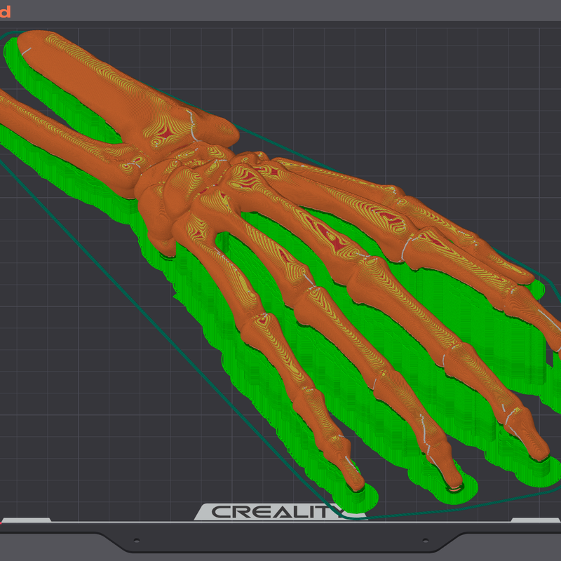 Full Size (Mostly) Anatomically Correct Human Hand And Forearm ...