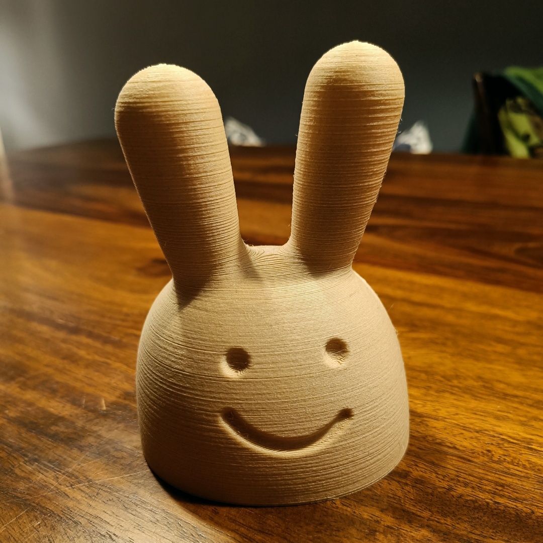 Big Bunny Head by nilson_fx Download free STL model