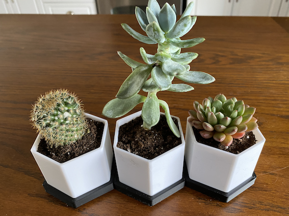 Miniatura 2 do modelo 3D Succulent Planter Pot