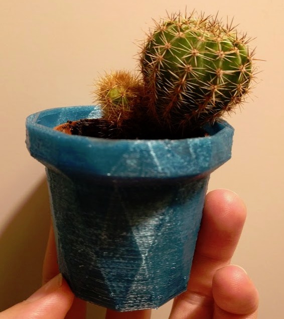 LiLoFlo (Little Lowpoly Flowerpot)