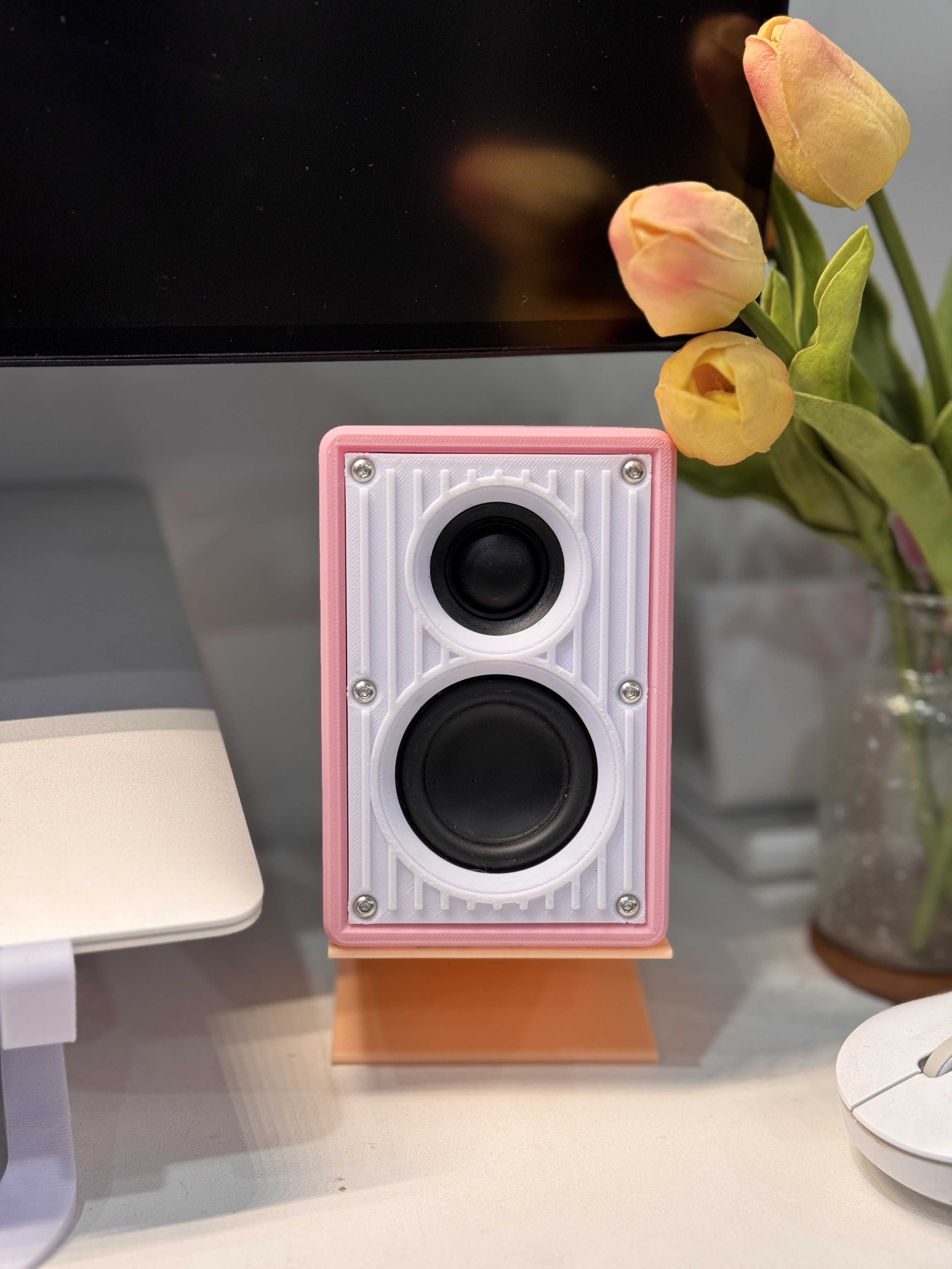 Bookshelf bluetooth speaker