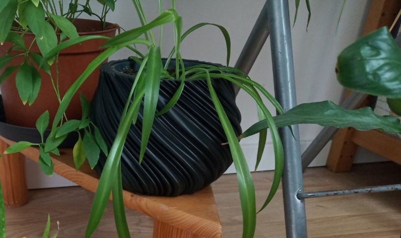 Cache-pot - flowerpot holder - planter